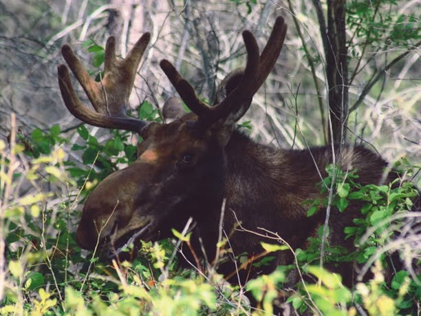 Photo credit: @lakesuperiorpp on Instagram